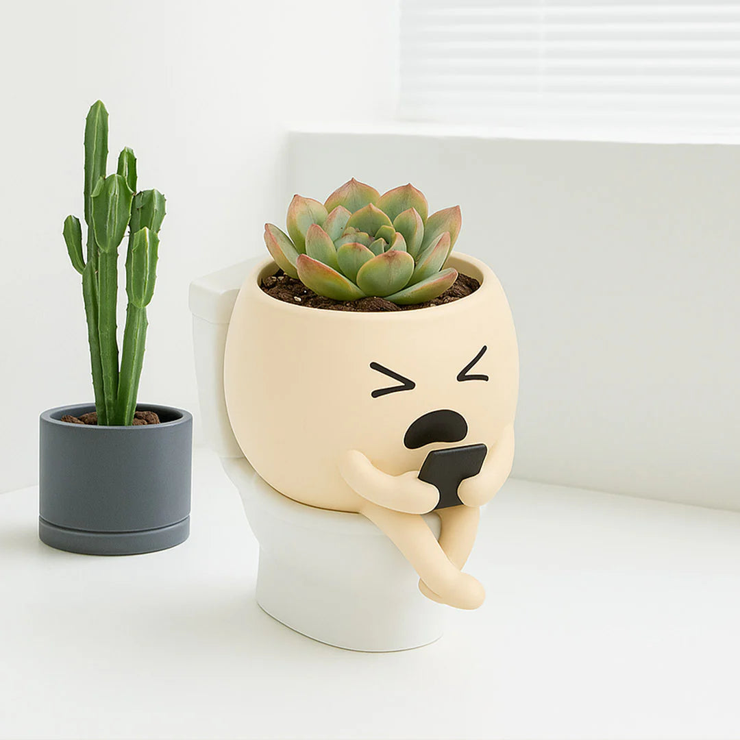 Silly Face Planter