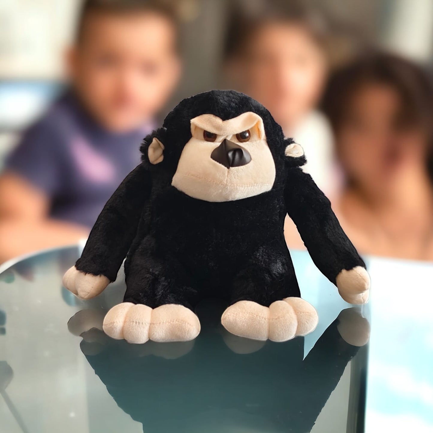 Chimpanzee Teddy