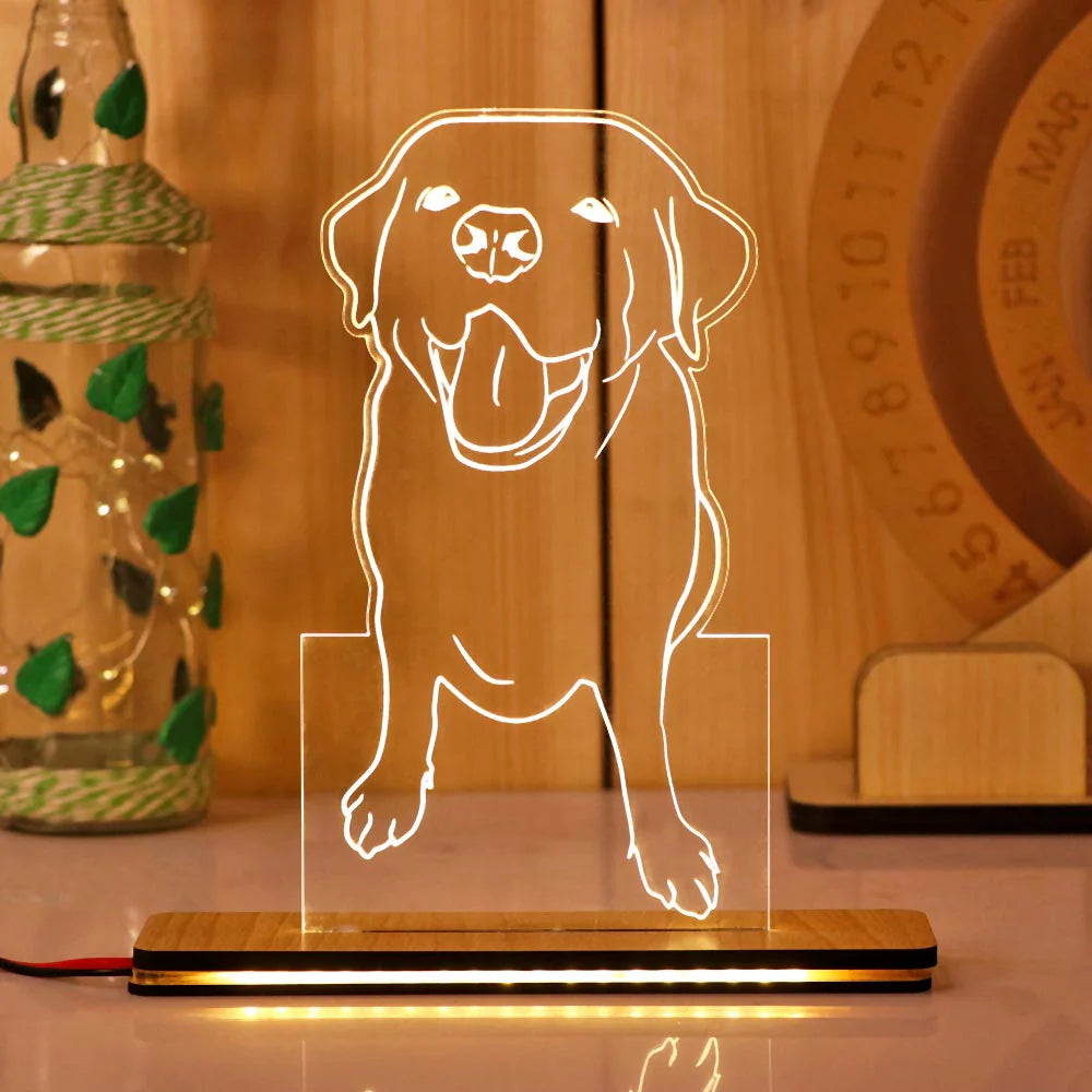 3D ACRYLIC LED PHOTO LINE ART LAMP