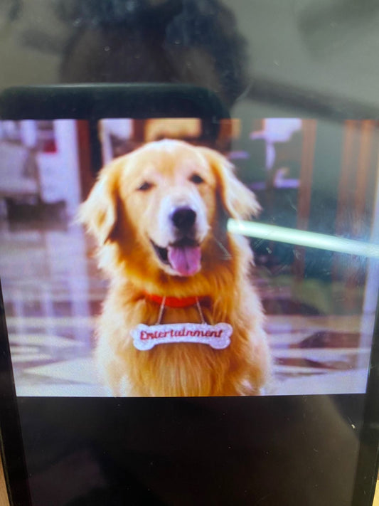 Customized dog coller keychain with name
