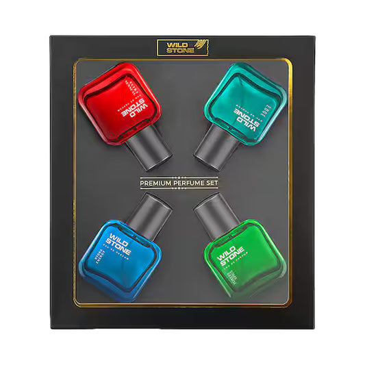 Wild Stone  Perfume Gift Set for Men (4 pcs)