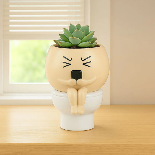 Silly Face Planter